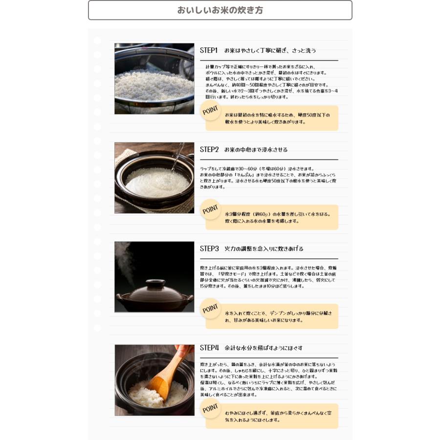  愛媛県産 コシヒカリ 20kg （ 10kg × ） 令和5年産 白米 精米 備蓄米 お米 米 こめ こしひかり コシヒカリ  お米のまるひ マルヒ食糧 国産