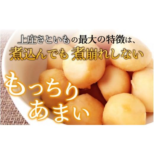 ふるさと納税 福井県 大野市 上庄さといも 10kg 減農薬・減化学肥料の特別栽培里芋