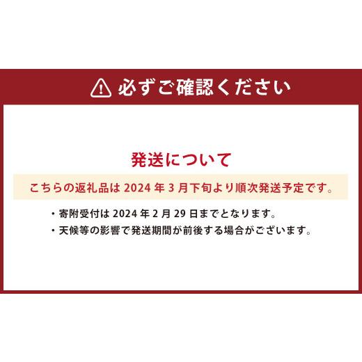 ふるさと納税 熊本県 デコポンおよび熊本県産季節の柑橘 約3kg 約10〜11玉