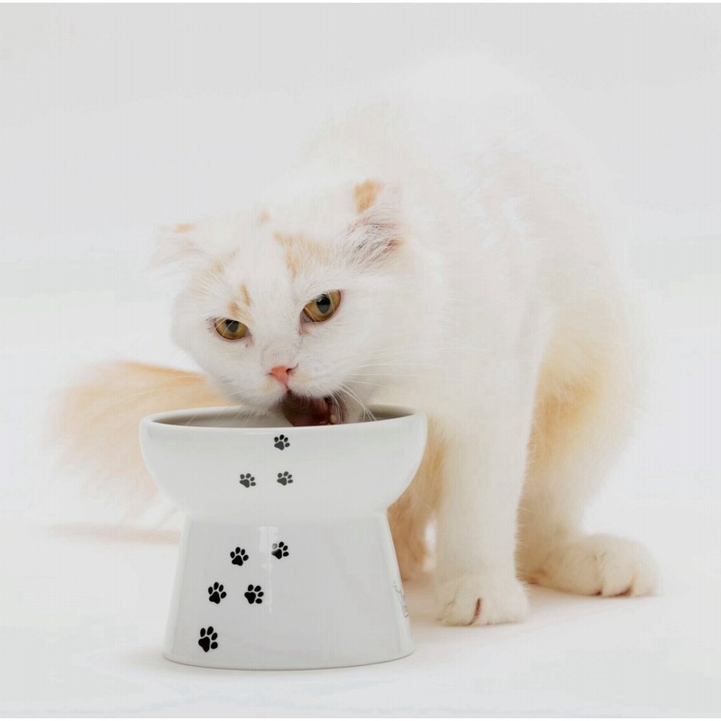 猫壱] ハッピーダイニング 脚付フードボウルL 猫柄 シリコン付き 通販 LINEポイント最大GET | LINEショッピング