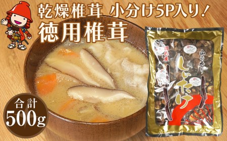 乾燥椎茸 訳あり 椎茸100g×5パック 干し椎茸 しいたけ 乾燥しいたけ 原木 大分県産 九州産 中津市 国産