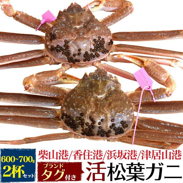 2杯組 国産 生 松葉ガニ 活き  (600g~700g×2匹)  兵庫県産 ブランドタグ付き 極上 生姿 活蟹 松葉蟹 ズワイガニ 日本海 ブランド蟹 産地直送  冷蔵クール便配送