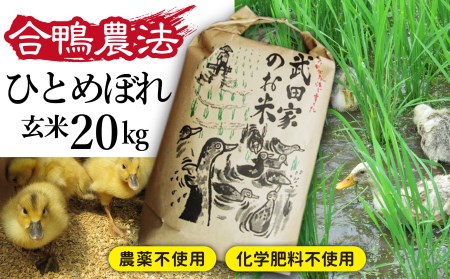 《令和５年度産》武田家のお米 ひとめぼれ（玄米）20kg＜合鴨農法＞   米 ５キロ ４袋 アイガモ