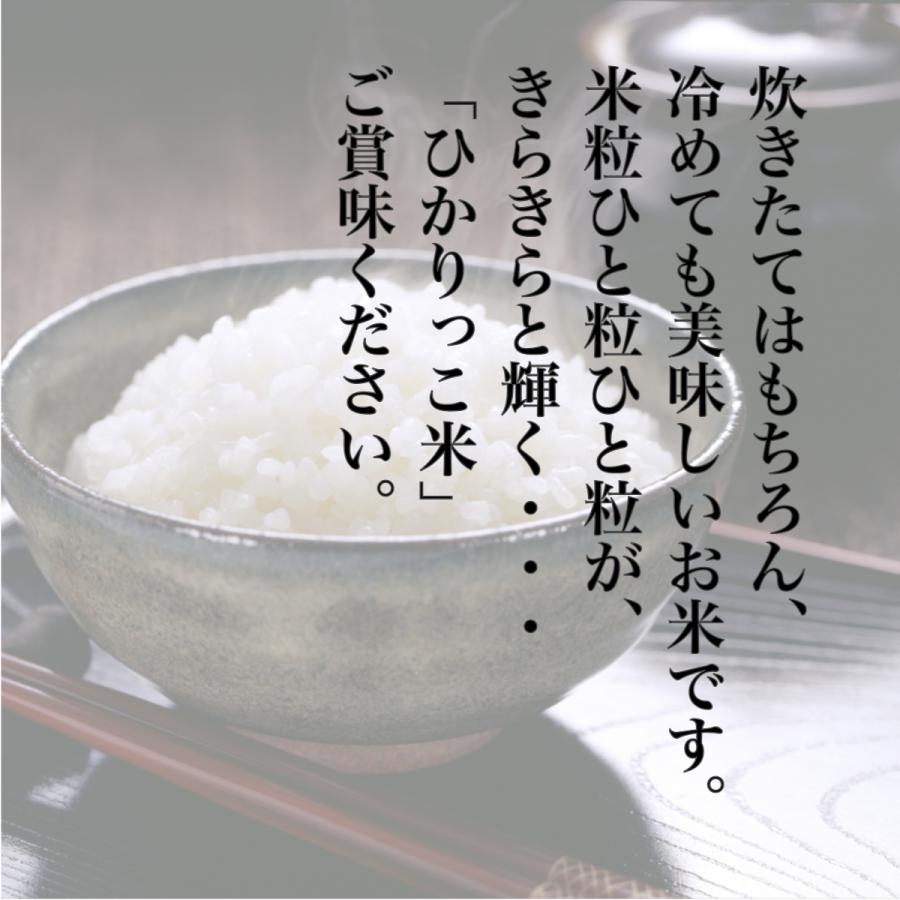 精米 新潟県産 こしひかり ひかりっこ米 5kg 令和4年産 新米 熟成もみがら堆肥使用 新米 白米 米 コメ