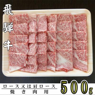 ふるさと納税 輪之内町 A5ランク飛騨牛焼き肉用500g(ロース又は肩ロース)