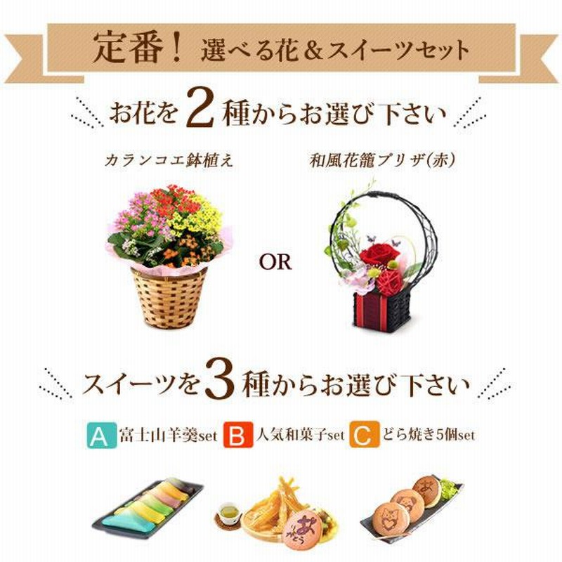 敬老の日 プレゼント ギフト 花 鉢花 鉢植え 珍しい 花とスイーツ りんどう ベコニア お菓子 60代 70代 80代 Flower Dset 通販 Lineポイント最大0 5 Get Lineショッピング