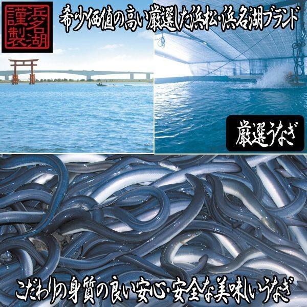 浜松・浜名湖うな茶漬け2人前(うなぎ ウナギ 鰻 蒲焼き お茶漬け うなぎ茶漬け ひつまぶし グルメ 食品 産地直送 鰻長焼き