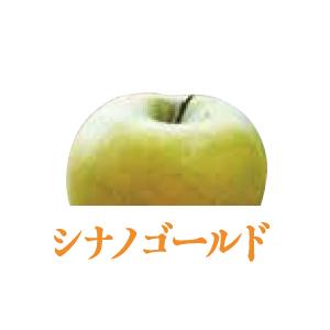 南信州りんご・梨　送料無料