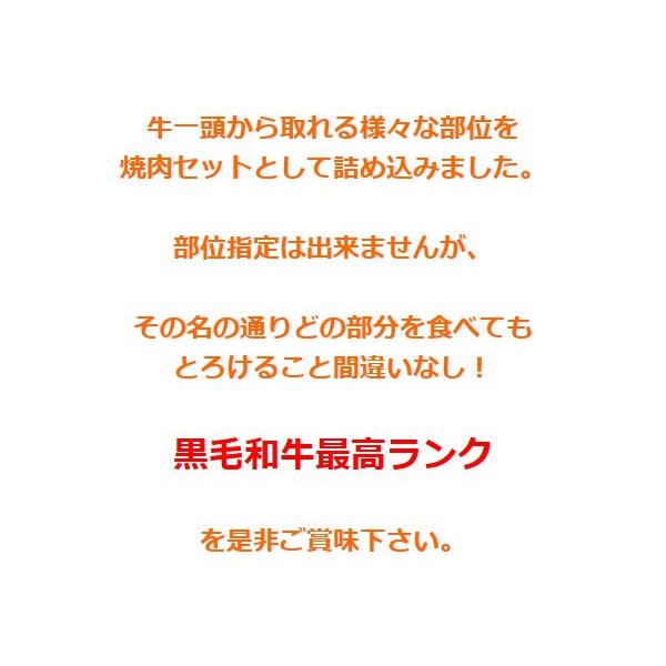 お歳暮 肉 牛肉 ギフト 焼肉セット 黒毛和牛 極み とろける焼肉セット 400g 化粧箱入り プレゼント 御歳暮 2023 お中元 焼肉