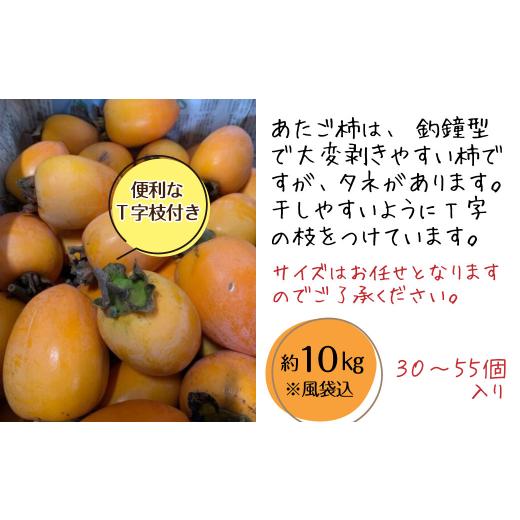 ふるさと納税 愛媛県 西条市 干し柿用渋柿 「愛媛県産あたご柿」 約10kg 西条市 やまちゃんふぁーむ 低農薬 除草剤不使用 干し柿 柿 