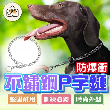 【堅固耐用👍】金屬P鏈狗狗鏈子項圈 寵物項圈 狗狗項圈 防爆衝狗項圈 土狗脖圈 防掙脫項圈 寵物外出用品 P字鏈項圈