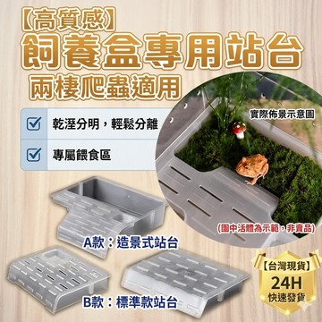 陸龜驛站｜飼養盒 飼養箱 爬蟲 寵物盒 飼養箱 寵物箱 守宮 角蛙 烏龜 蛇 鼠 寄居蟹 昆蟲 蜘蛛 蠍 甲蟲澤龜