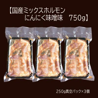 ふるさと納税 舞鶴市 国産牛のミックスホルモン 750g(250g×3) にんにく味噌味 焼肉にも