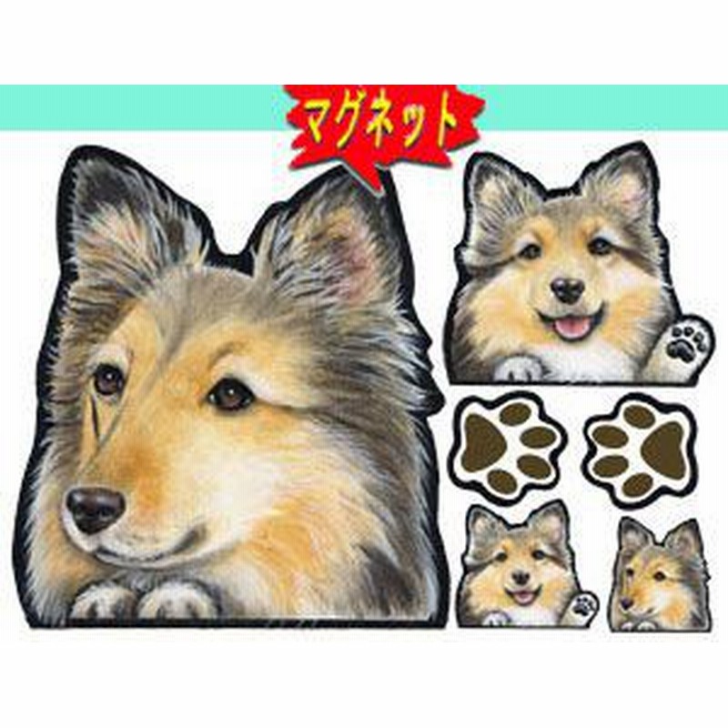 マグネット 犬ステッカー シェルティ3 シェットランドシープ グッズ ネーム入れ不可 愛犬 雑 通販 Lineポイント最大1 0 Get Lineショッピング