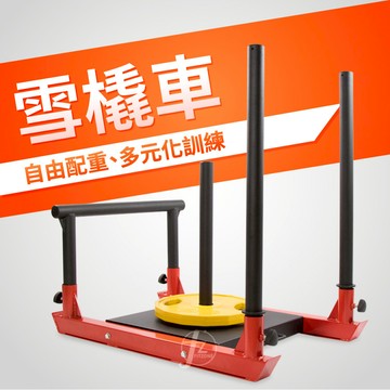 [盛林運動] Absport 雪橇車 WEBS-01A