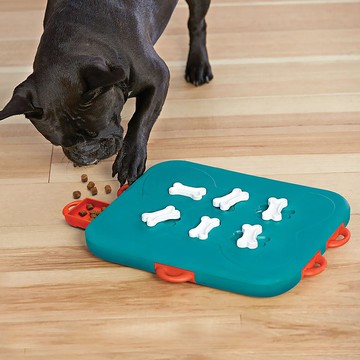 【瑞典益智玩具】富貴狗-賭場大亨 LV3 寵物玩具