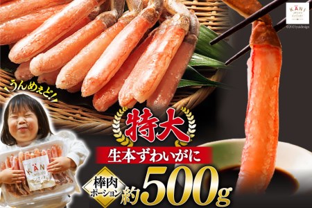 極太 生本ずわいがに 棒肉ポーション 約500g 15本～20本入り 殻剥き不要 脚肉のみ [カネダイ 宮城県 気仙沼市 20562794] カニ ずわいがに ズワイガニ ずわい蟹 ズワイ蟹 蟹 カニ カニ脚 蟹脚 カニ棒肉 カニ 生 蟹 ポーション カニしゃぶ