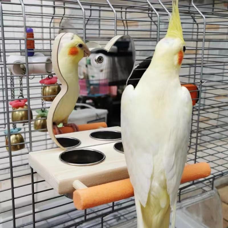 鳥餌入れ オウム インコ 止まり木 ミラー 爪研ぎ付き ステンレス餌 ...