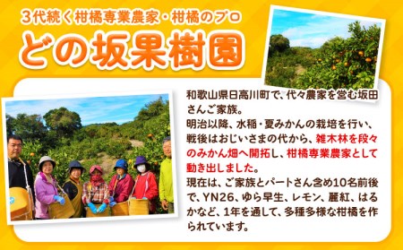 不知火 デコポン と同品種 しらぬい 約 5kg (L～5Lサイズ) どの坂果樹園《2月中旬-4月上旬頃出荷》 和歌山県 日高川町 しらぬい 不知火 デコポン でこぽん 旬 果物 フルーツ 柑橘 産地直送 送料無料---wshg_245_g24_23_11000_5kg---