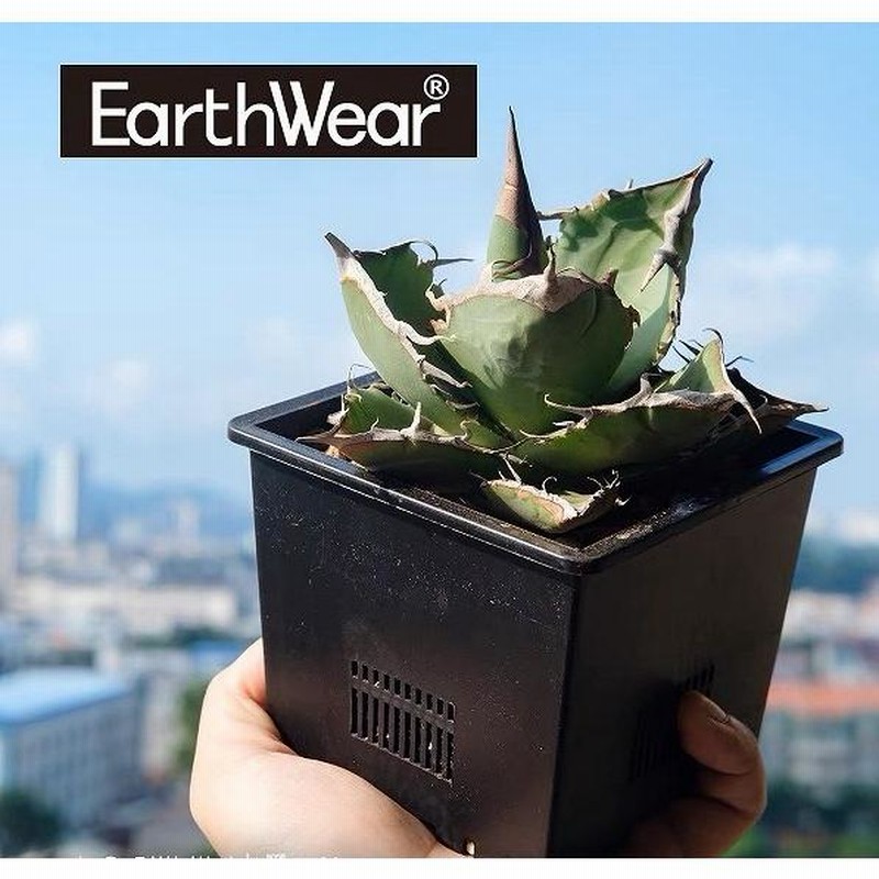 アガベ プラ鉢 EARTHWEAR Drain Smart Pot ミニサイズ ブラック