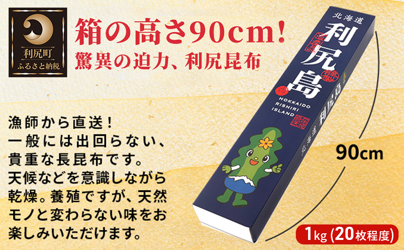 利尻昆布 北海道 熟成 昆布 1kg （20枚程度） 化粧箱入り 漁師直送！ こんぶ コンブ だし 出汁 だし昆布 海産物 加工食品 乾物 利尻