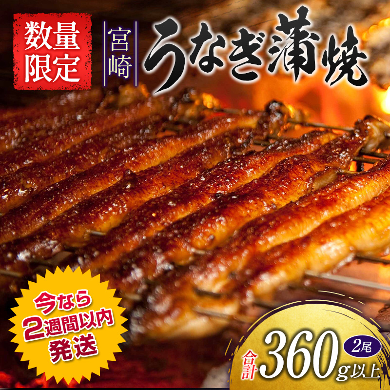 超特大 うなぎ 蒲焼き メガサイズ 360g-400g ×2本 ウナギ 鰻 ギフト 肉