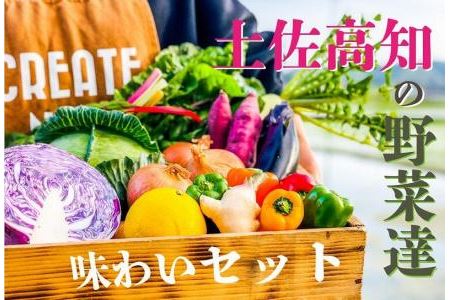 高知の新鮮野菜セット／旬の野菜を味わうお試し便