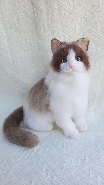 【客製羊毛氈】擬真貓貓 (25cm)