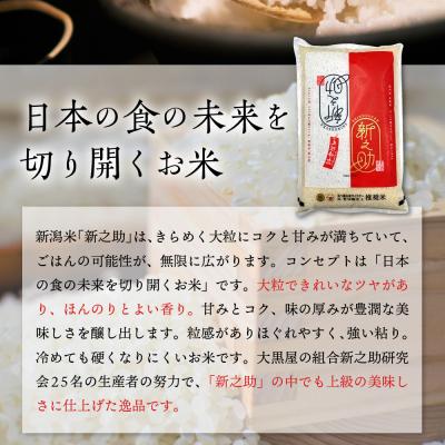 ふるさと納税 妙高市 2023年12月下旬より発送 新潟県上越・妙高産新之助 5kg(計30kg) 全6回