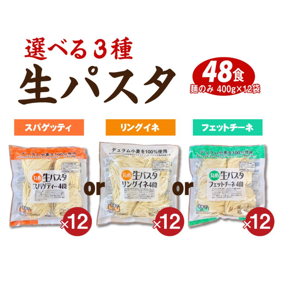 生パスタ フェットチーネ リングイネ スパゲティ 12袋 送料無料（北海道・沖縄・離島 1500円）業務用 ギフト グルメ 食品 大容量 まとめ買い