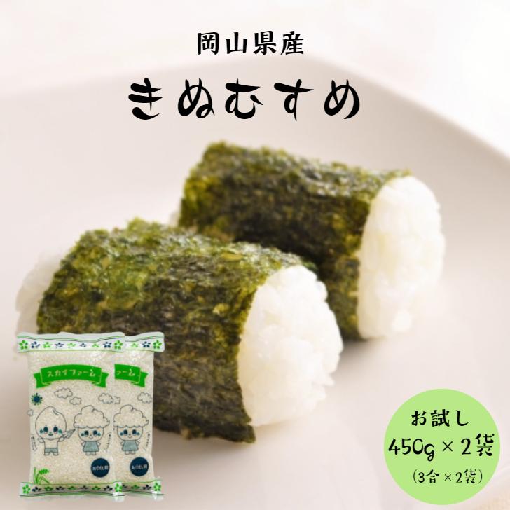 新米 令和5年産 岡山県産 きぬむすめ 900g  ポイント消化 白米 食品 お試しセット 1kg以下 メール便 国産 送料無料