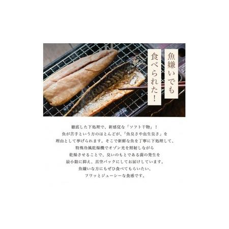 ふるさと納税 海の贈り物 干物 盛り合わせ 季節の干物 数種類 ４〜６種類 京都府