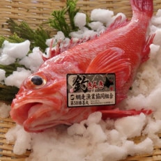 釣きんき一夜干し　Sサイズ(約150g)×3枚セット