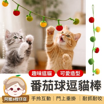 [可愛造型] 響鈴逗貓棒 番茄球逗貓棒 貓薄荷逗貓棒 番茄逗貓棒 貓薄荷玩具 鈴鐺貓咪玩具