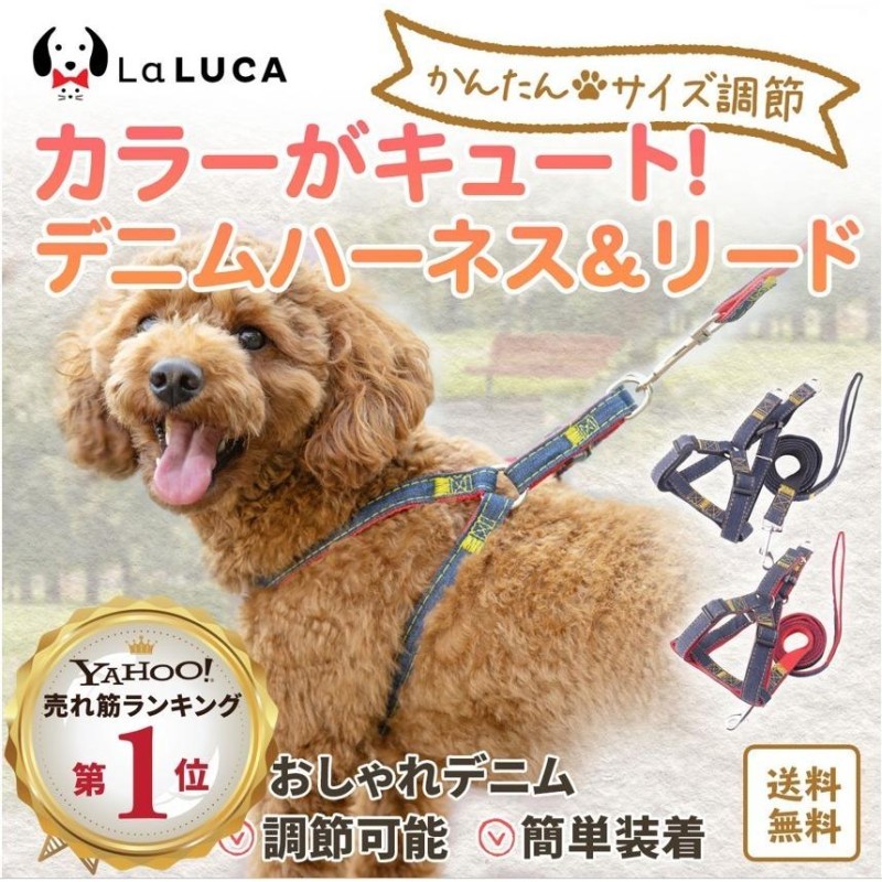 品質のいい ☆GWセール☆ 大型犬 ハーネス リード カーラー(首輪) お