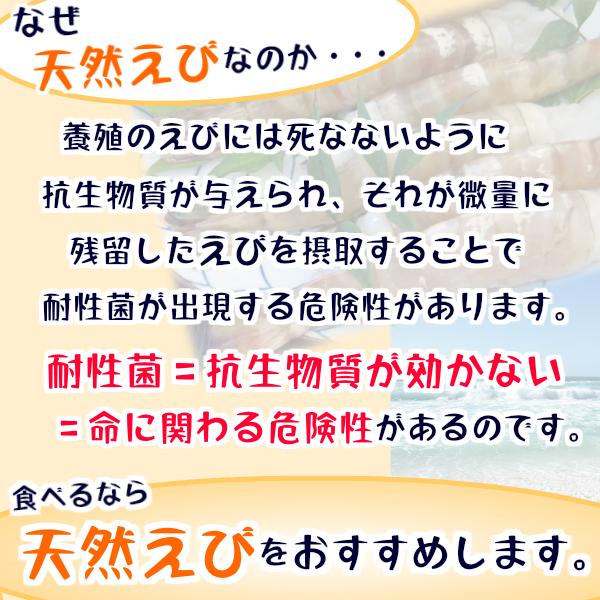 エビフライ 16本前後 天然車海老フライ 冷凍 国内製造 小 500g てづくり えびフライ 海老フライ オードブル