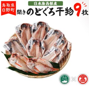 日本海西部産　開きのどぐろ干物９枚 〈大海〉 50-N5