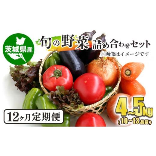 ふるさと納税 茨城県 守谷市  旬の野菜詰め合わせセット 毎月12ヶ月