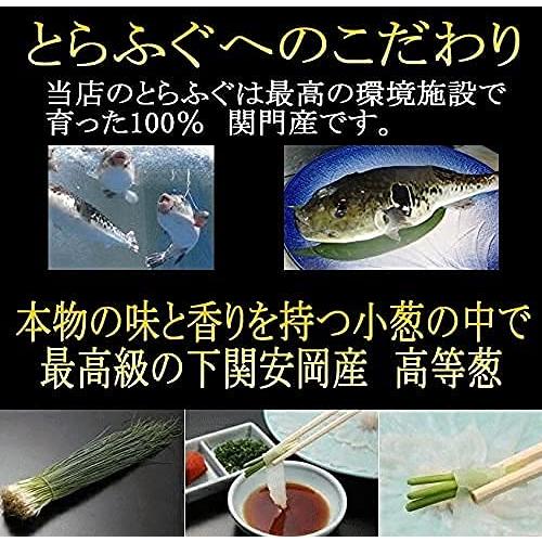 ふぐ 冷蔵 とらふぐ刺身セット４〜５人前 本場関門とらふぐ料理専門店ふく一