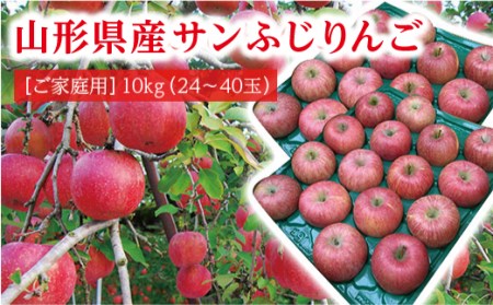 《先行予約 令和5年度発送》山形県産のサンふじりんご10kg（24～40玉） FSY-0409