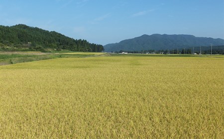 27-151新潟県黒川産コシヒカリ15kg（5kg×3袋）