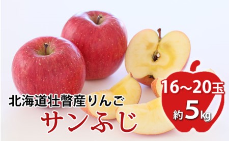 ＜2023年11月下旬よりお届け＞北海道壮瞥町　りんご　品種名「サンふじ」12～18玉約5kg フルーツ 果物 りんご 果樹