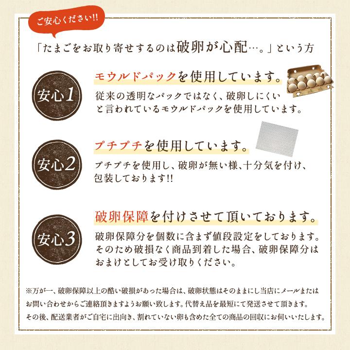 櫛田養鶏場のこだわりの卵 三種食べ比べセット 名古屋コーチンの卵10個 くしたま赤卵10個 くしたま白卵10個 合計30 個(※各種9個 1個破卵保証)