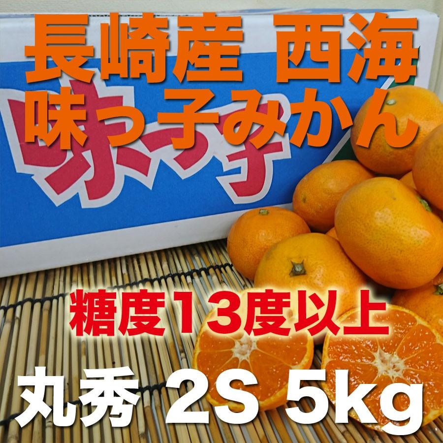 ご贈答に最適 長崎産 西海 味っ子みかん 赤丸秀  2S 約5kg