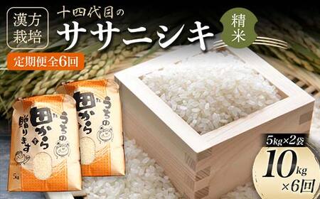 令和5年産 漢方栽培 低温熟成乾燥 十四代目のササニシキ 5kg×2袋 （精米）全6回 米 お米 おこめ 山形県 新庄市 F3S-1704