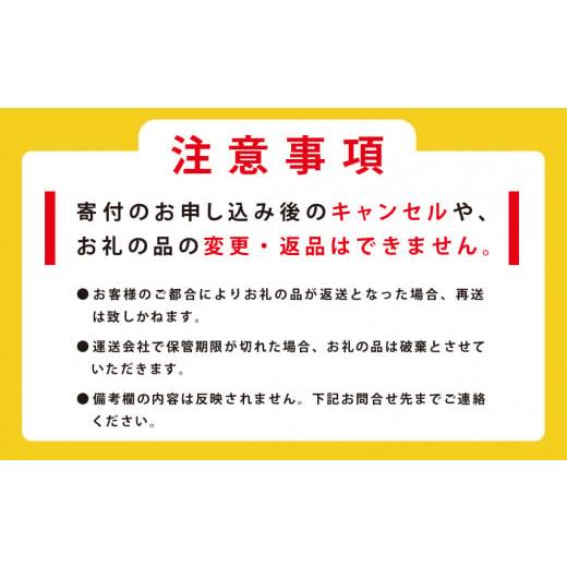 ふるさと納税 北海道 湧別町 [No.5930-0298]≪先行予約2024年4月から発送≫北海道湧別町サロマ湖産　塩水生うに100g×2