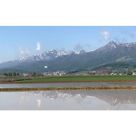 ふるさと納税 北海道 中富良野町 味付けジンギスカン　300g×3パック