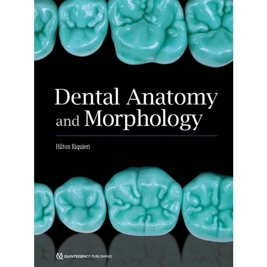 Dental Anatomy and Morphology