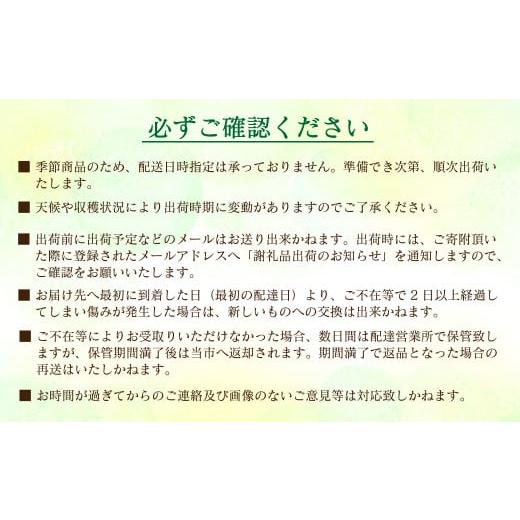 ふるさと納税 愛媛県 西条市 特選　日野苺（約450g）〜糖度12度以上を厳選〜