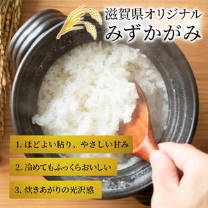 ふるさと納税 米 定期便 10ヶ月 みずかがみ BG無洗米 10kg  令和5年 ふるさと応援特別米 無洗米 お米 こめ コメ おこめ 白米 10回 お楽しみ 滋賀県豊郷町